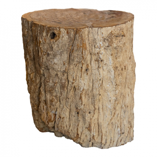 Tabouret en bois fossilisé