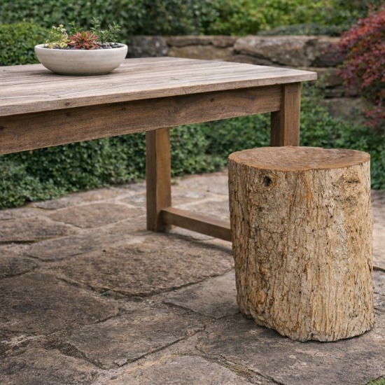Tabouret en bois fossilisé